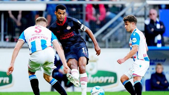 鹰队在本场 鹰队在本场